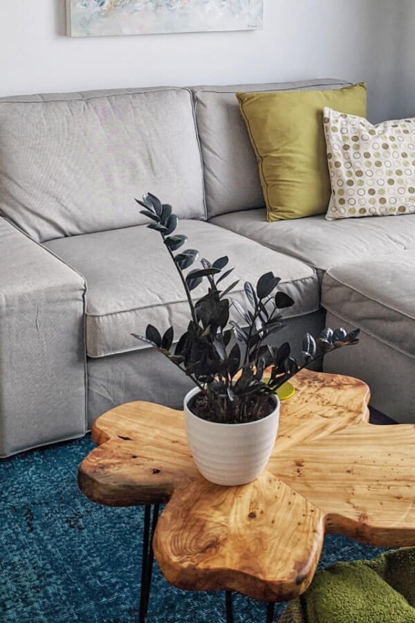 plants-shop-product-gallery-img-3 Calathea Rufibarba