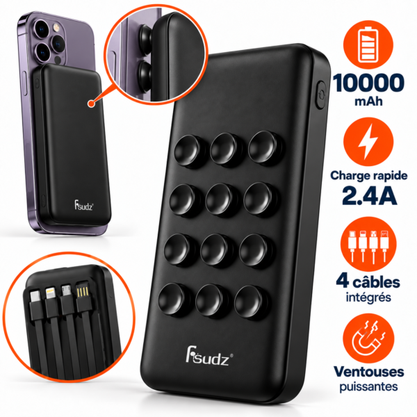 Power Bank  PB-X5 10 000 mAh – 4 Câbles Intégrés